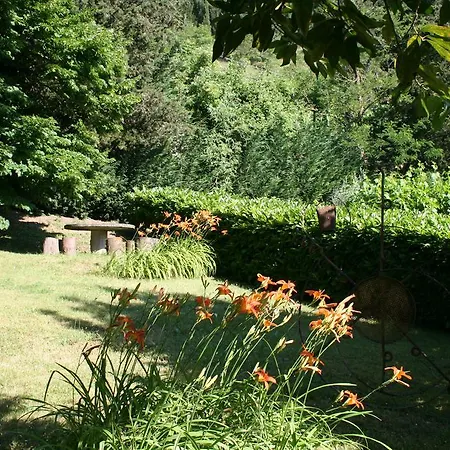 Apartment Casa Scheda