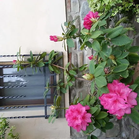 Casa Scheda * Marradi