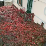 Apartamento Casa Scheda Marradi
