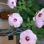 Casa Scheda Apartamento Marradi