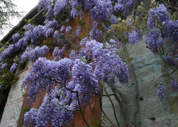 דירה Casa Scheda מראדי