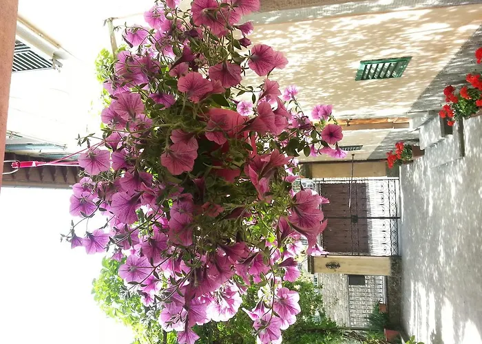 Casa Scheda דירה מראדי