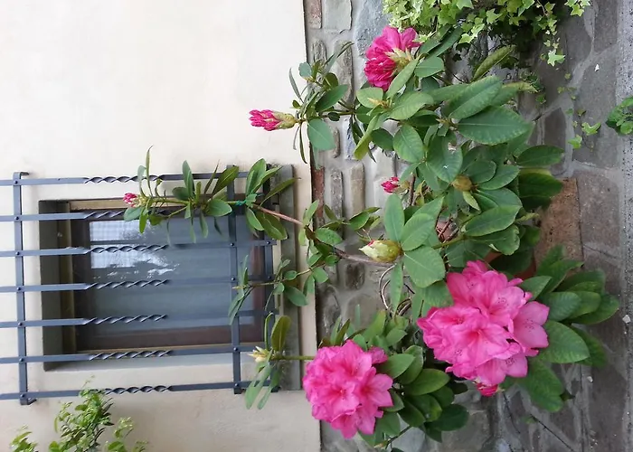 Casa Scheda * מראדי