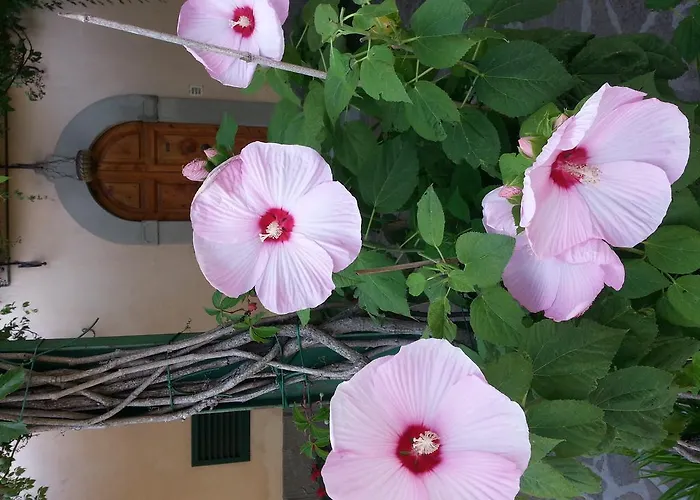 Casa Scheda アパート マッラーディ