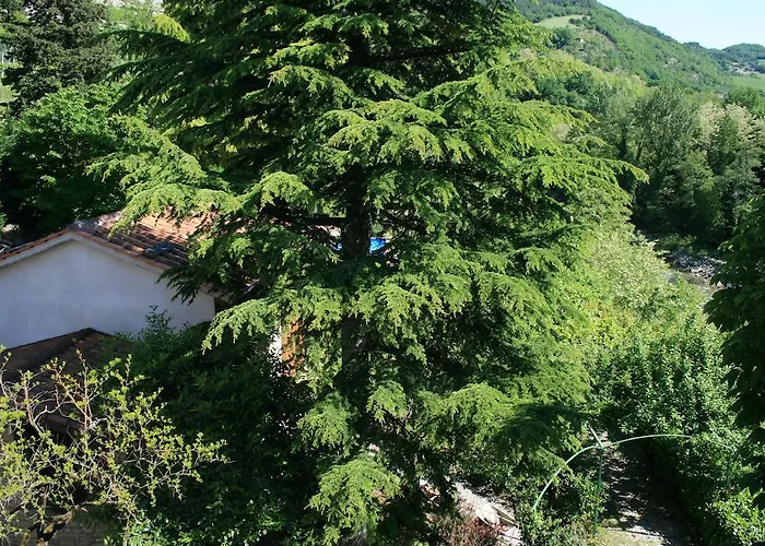 דירה Casa Scheda מראדי