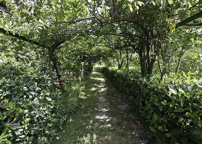 Casa Scheda מראדי