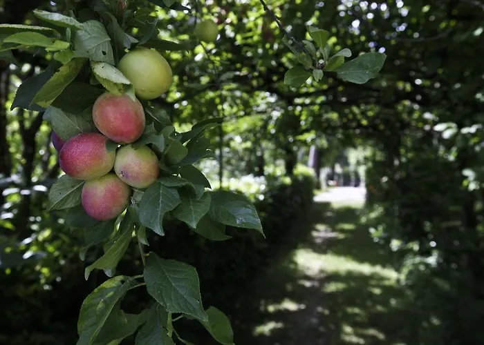 דירה Casa Scheda מראדי